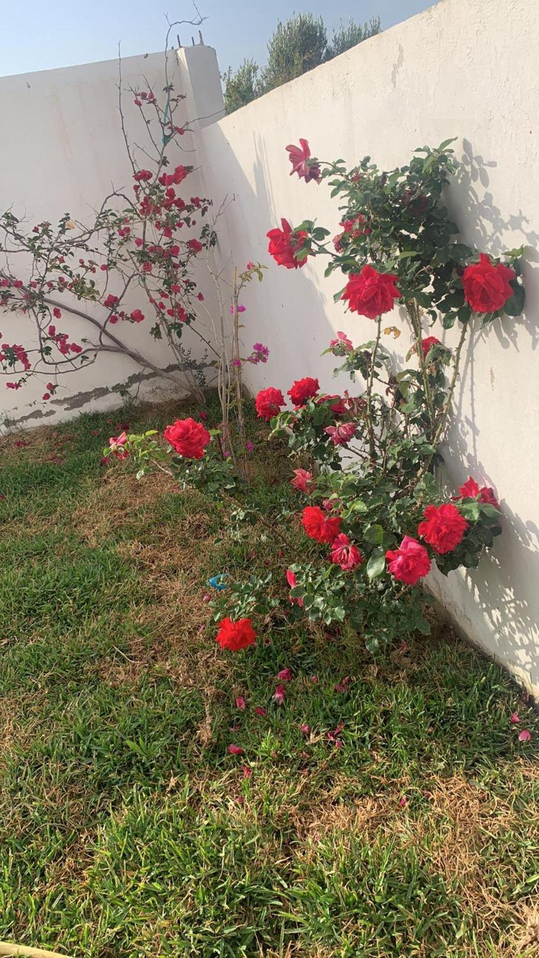 Apartamento 5min De La Zone Touristique Hammamet